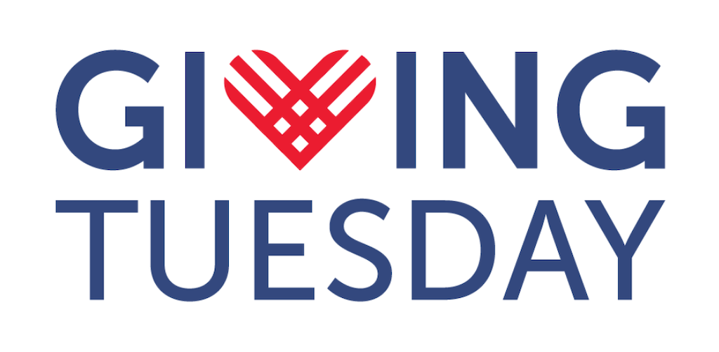 6 Tips to Design an Effective Giving Tuesday Landing Page