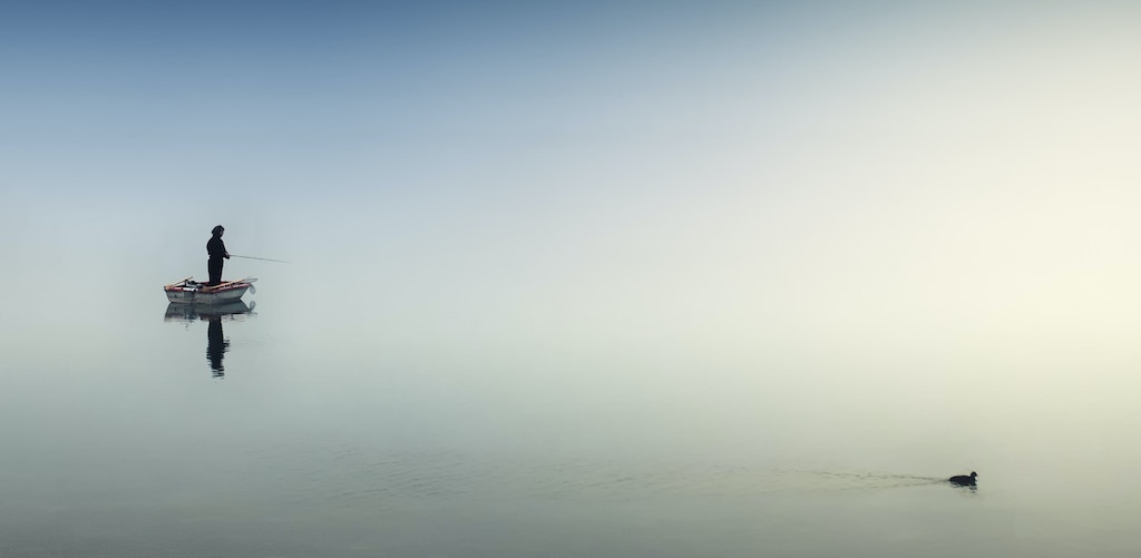 Sustainable Nonprofit Fundraising: Creating a Greener World