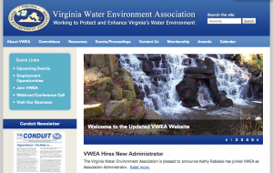 VWEA website screenshot (2011)