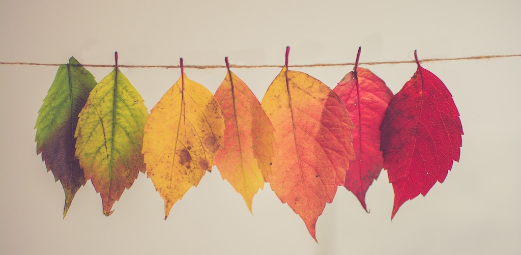 5 Fresh Fundraising Ideas for Fall