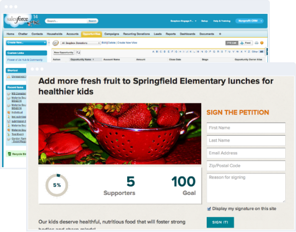 Online Petition Data Saved Directly to Salesforce