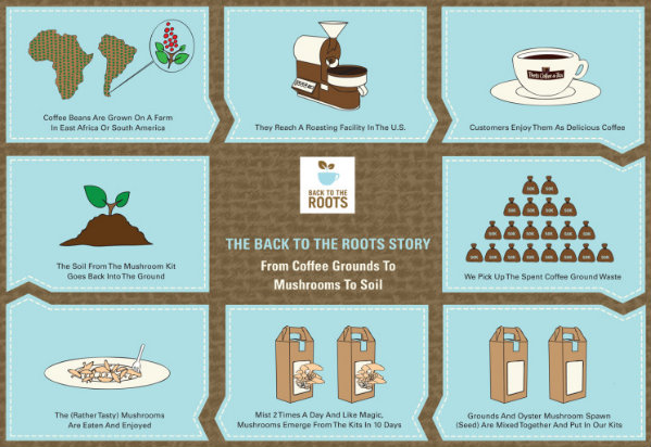Back to the Roots mushroom kit Back to the Roots mushroom kit