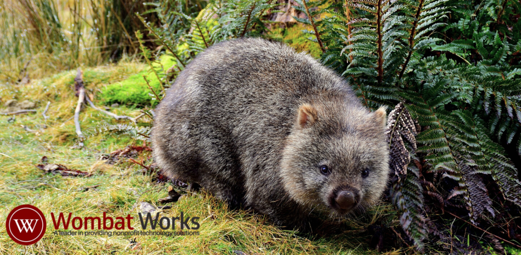 Partner Spotlight - Wombat Works 