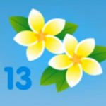 Salesforce Spring 13