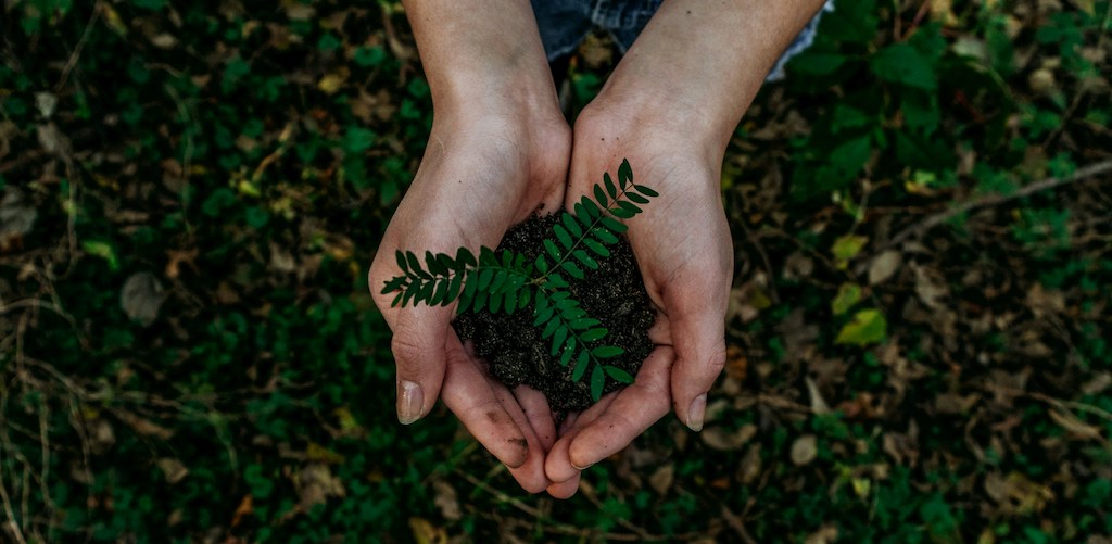 How to Plan a Sustainable Event: 8 Essential Best Practices