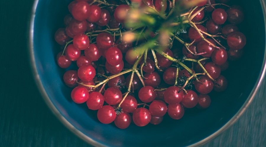 4 Top Strategies to Promote Nonprofit Employee Wellness